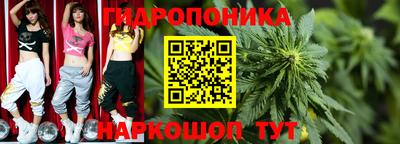 каннабис Кингисепп