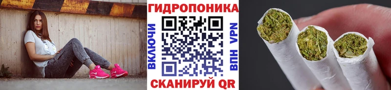 где найти наркотики  Геленджик  hydra ССЫЛКА  Шишки марихуана конопля 