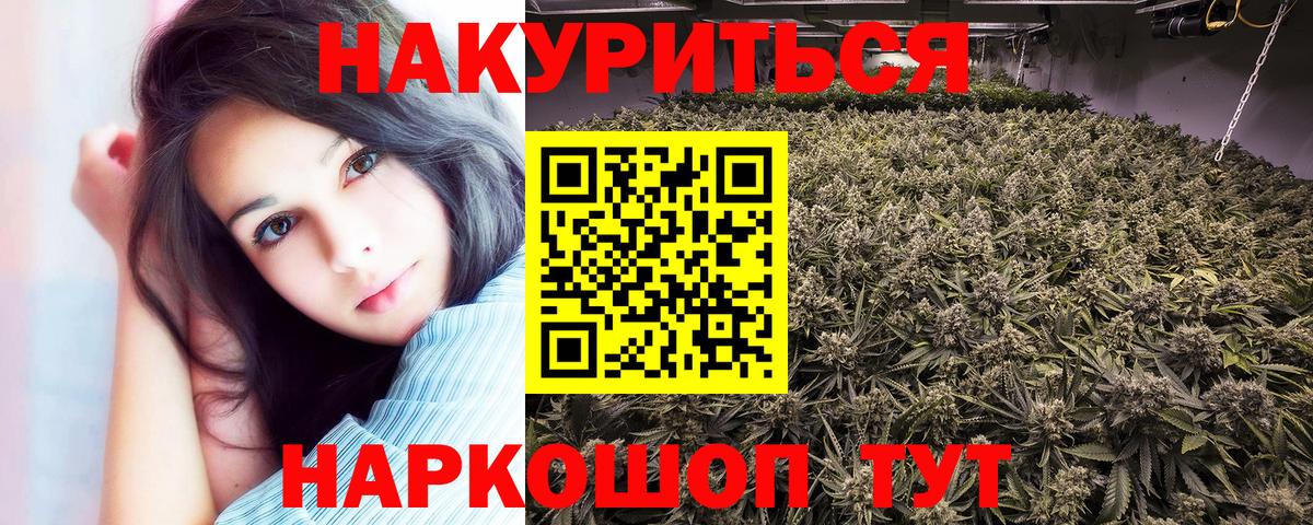 Канабис план  Бошки Шишки гибрид  Геленджик 